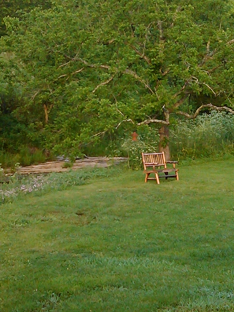 IMG_20140601_071116_775