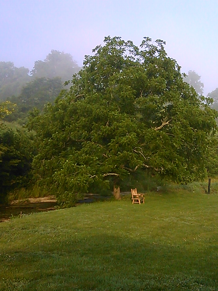 IMG_20140627_073624_471