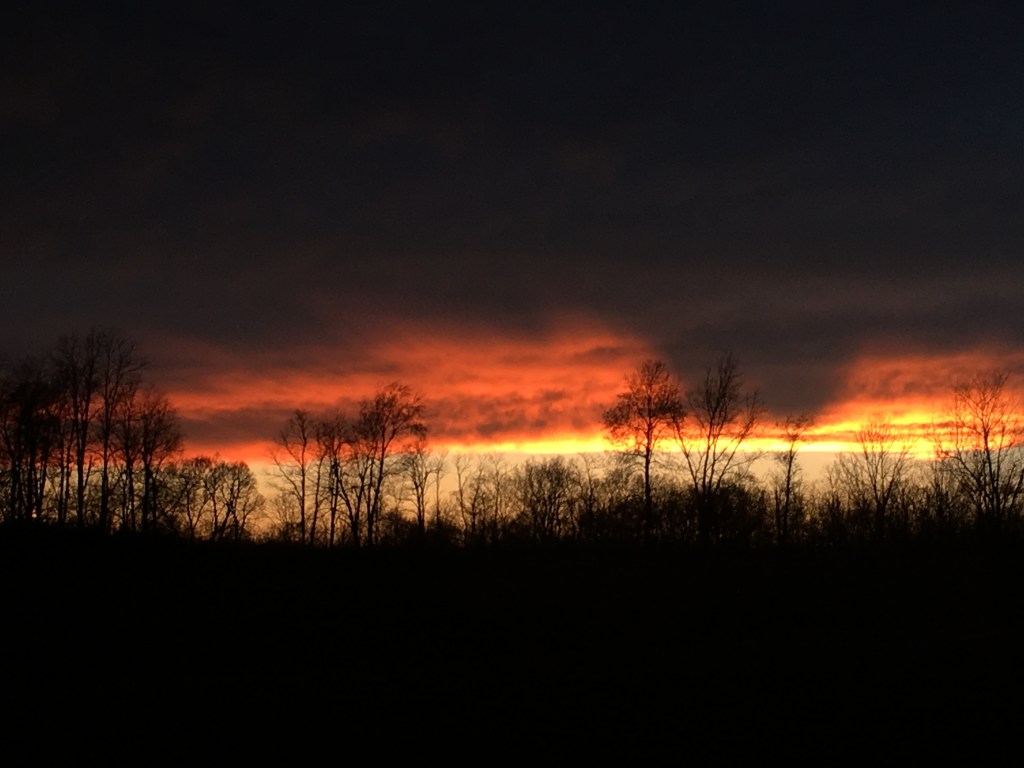 Led from the Shadow’s&nbsp;Lure