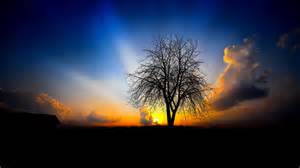 Lessons Learned on a Fall&nbsp;Morning