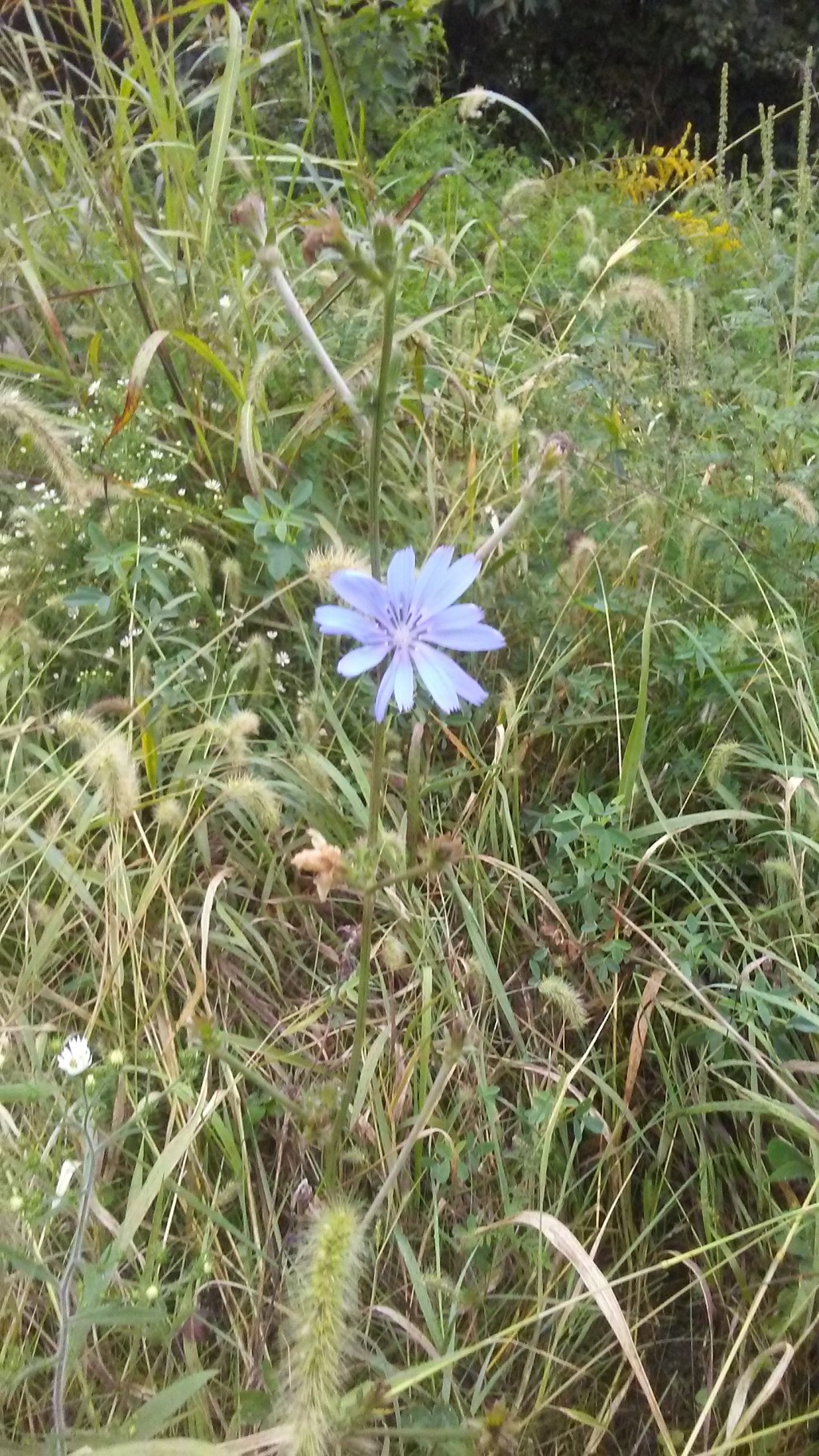 Peace in the Final Moments of a&nbsp;Season