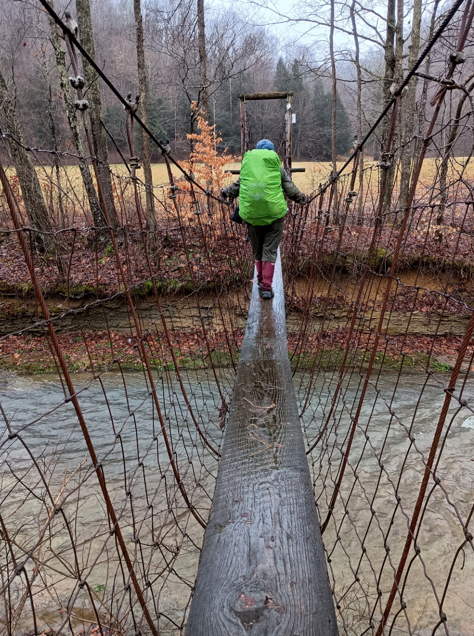 stepping into a dream